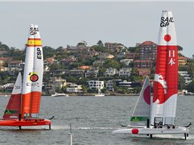 2020 Sail GP Sydney (Saturday)