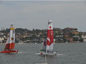 2020 Sail GP Sydney (Saturday)