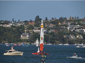 2020 Sail GP Sydney (Saturday)