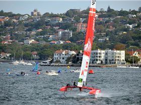 2020 Sail GP Sydney (Saturday)
