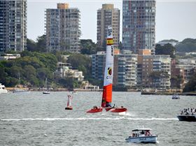 2020 Sail GP Sydney (Saturday)