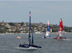 2020 Sail GP Sydney (Saturday)