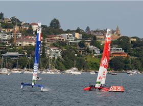2020 Sail GP Sydney (Saturday)