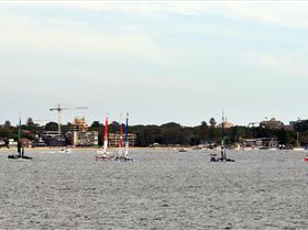 2020 Sail GP Sydney (Saturday)