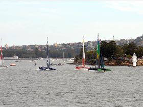 2020 Sail GP Sydney (Saturday)