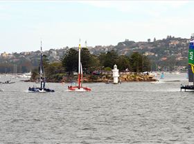 2020 Sail GP Sydney (Saturday)