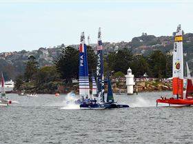 2020 Sail GP Sydney (Saturday)
