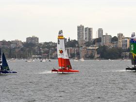 2020 Sail GP Sydney (Saturday)