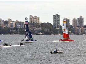 2020 Sail GP Sydney (Saturday)