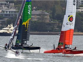2020 Sail GP Sydney (Saturday)