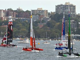 2020 Sail GP Sydney (Saturday)
