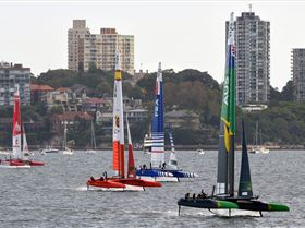 2020 Sail GP Sydney (Saturday)
