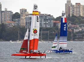 2020 Sail GP Sydney (Saturday)