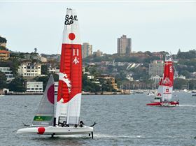 2020 Sail GP Sydney (Saturday)