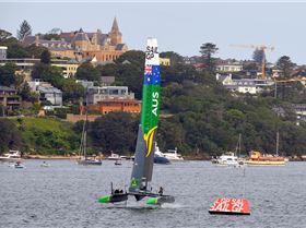 2020 Sail GP Sydney (Saturday)
