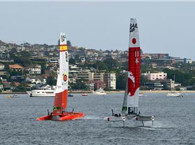 2020 Sail GP Sydney (Saturday)