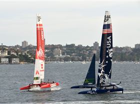 2020 Sail GP Sydney (Saturday)