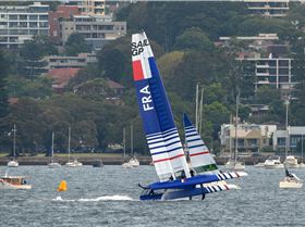 2020 Sail GP Sydney (Saturday)