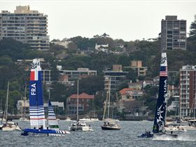 2020 Sail GP Sydney (Saturday)