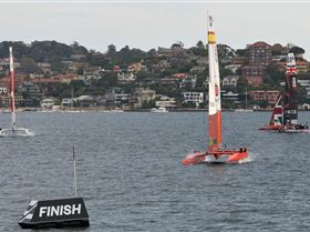 2020 Sail GP Sydney (Saturday)