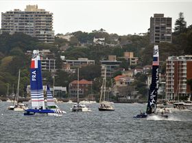 2020 Sail GP Sydney (Saturday)