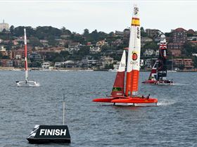 2020 Sail GP Sydney (Saturday)