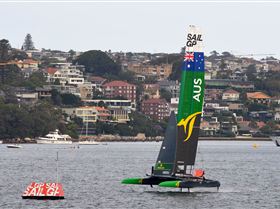 2020 Sail GP Sydney (Saturday)