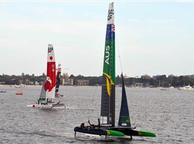 2020 Sail GP Sydney (Saturday)