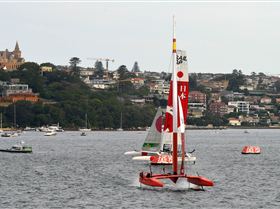 2020 Sail GP Sydney (Saturday)