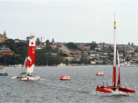 2020 Sail GP Sydney (Saturday)