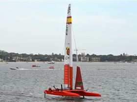 2020 Sail GP Sydney (Saturday)