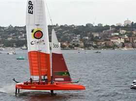 2020 Sail GP Sydney (Saturday)