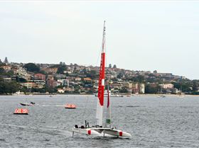 2020 Sail GP Sydney (Saturday)