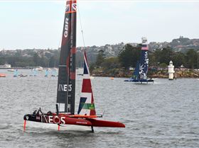 2020 Sail GP Sydney (Saturday)
