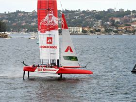 2020 Sail GP Sydney (Saturday)