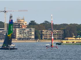 2020 Sail GP Sydney (Saturday)