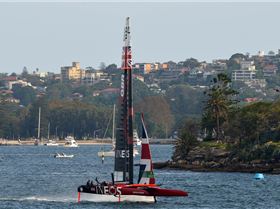 2020 Sail GP Sydney (Saturday)