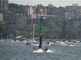 2020 Sail GP Sydney (Saturday)