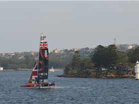 2020 Sail GP Sydney (Saturday)
