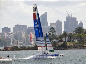 2020 Sail GP Sydney Nosedives