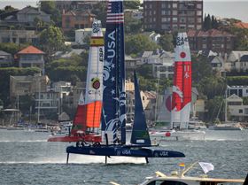 2020 Sail GP Sydney Nosedives