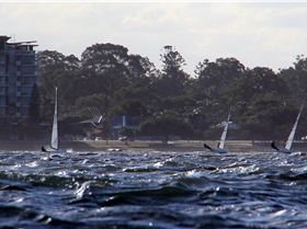 2017 "A" Class Catamaran State Titles (Day 1)