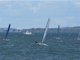 2017 "A" Class Catamaran State Titles (Day 2)