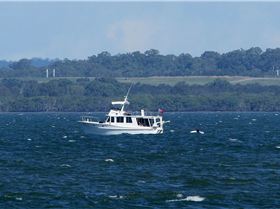 2017 "A" Class Catamaran State Titles (Day 2)