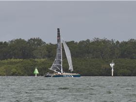 BOSS Racing (Catamaran) 2018 B2G