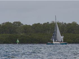 BOSS Racing (Catamaran) 2018 B2G