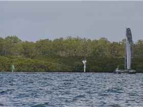 BOSS Racing (Catamaran) 2018 B2G