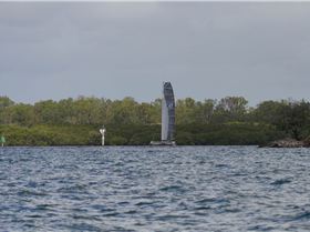 BOSS Racing (Catamaran) 2018 B2G