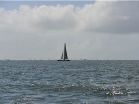 BOSS Racing (Catamaran) 2018 B2G