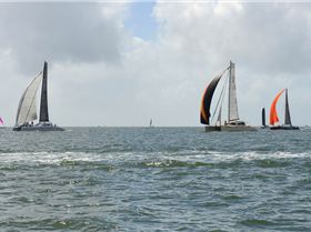 BOSS Racing (Catamaran) 2018 B2G